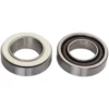 Campagnolo® Campagnolo Hub Bearings