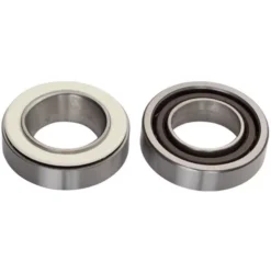 Campagnolo® Campagnolo Hub Bearings