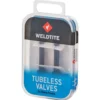 Weldtite Tubeless Valve Kit