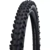 Schwalbe Dirty Dan Evo Super Gravity MTB Tyre